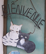 Bienvenue
