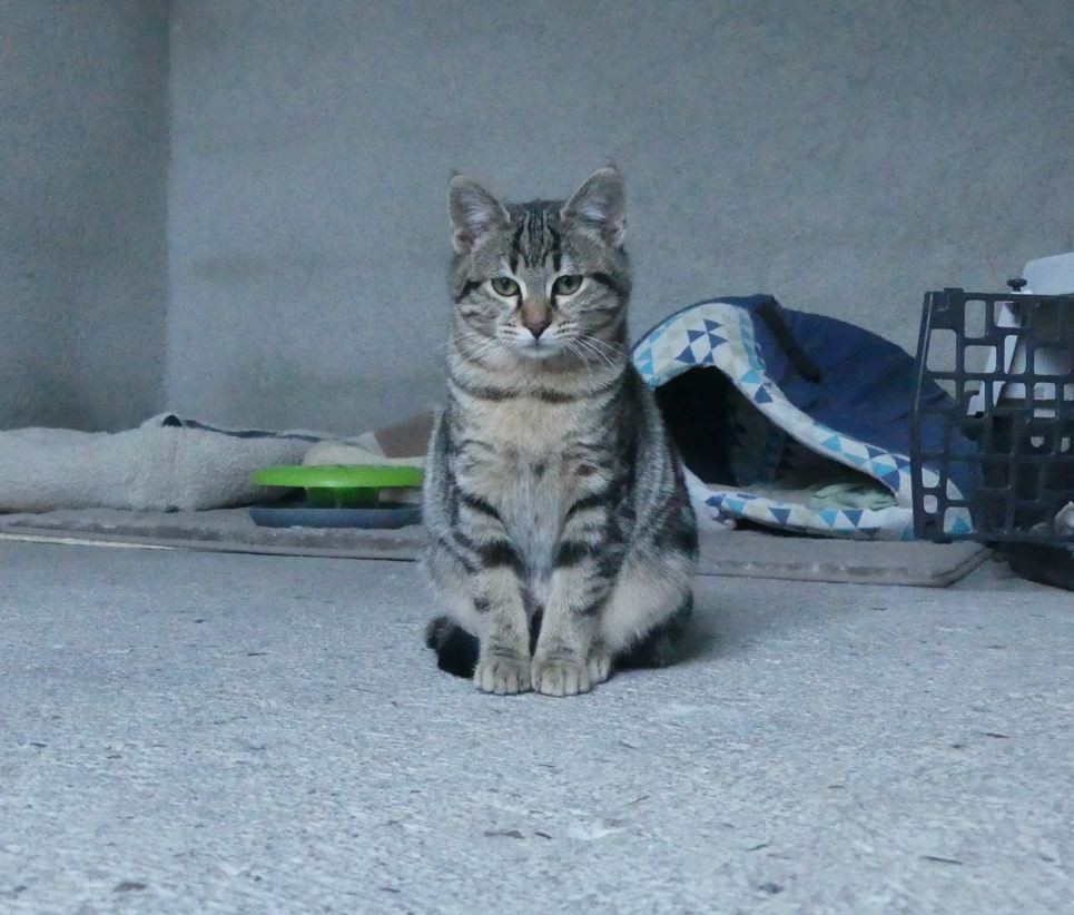 Juliette