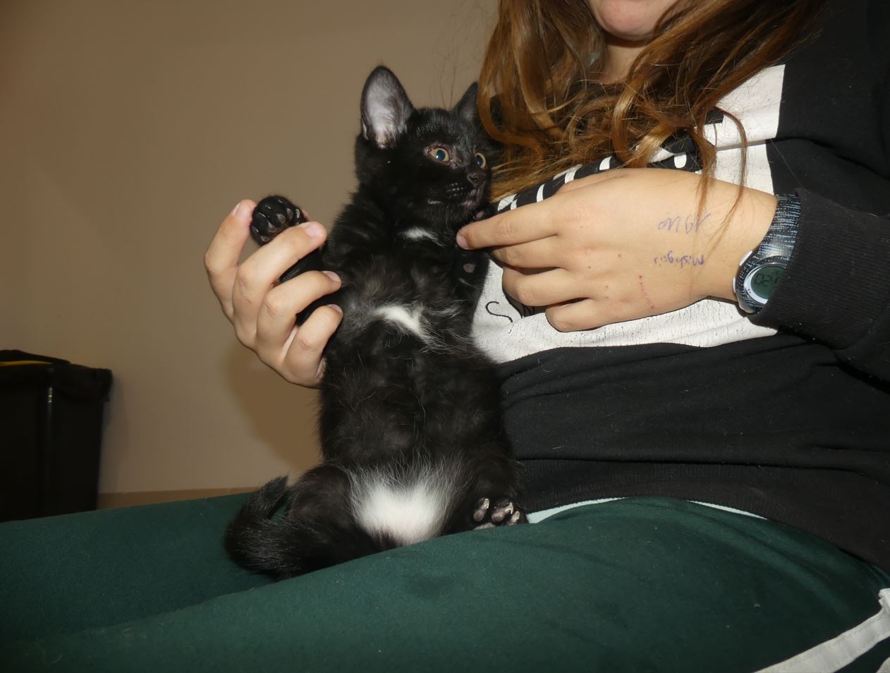 Kiri